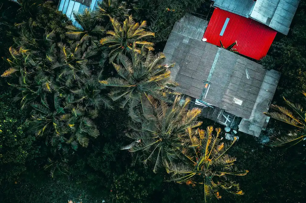 Vue aérienne d'une toiture métallique entourée de cocotiers
